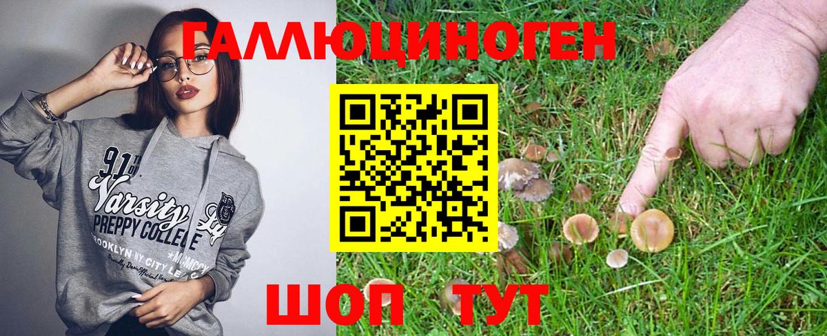 Батайск  Псилоцибиновые грибы MAGIC MUSHROOMS  Псилоцибиновые грибы мухоморы  Вход с VPN 